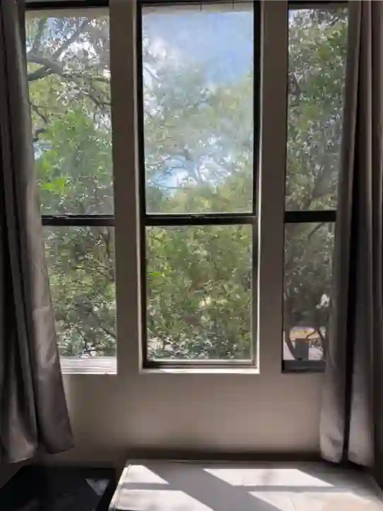 View out the windows of my treehouse studio